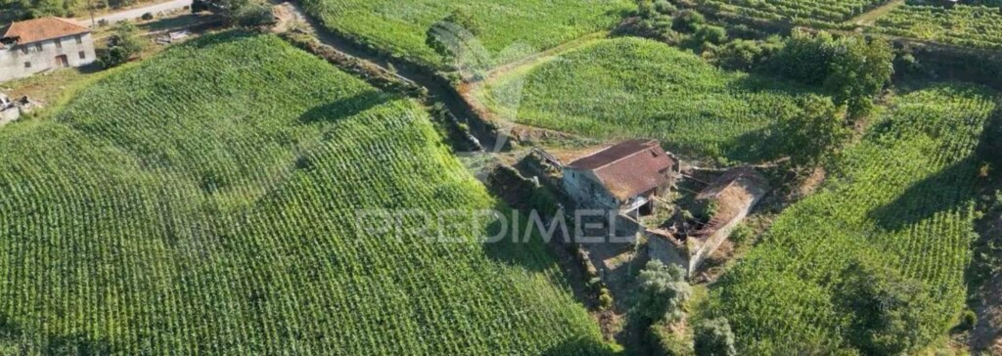 Quinta T5 para Venda em Leitões, Oleiros e Figueiredo Foto 15