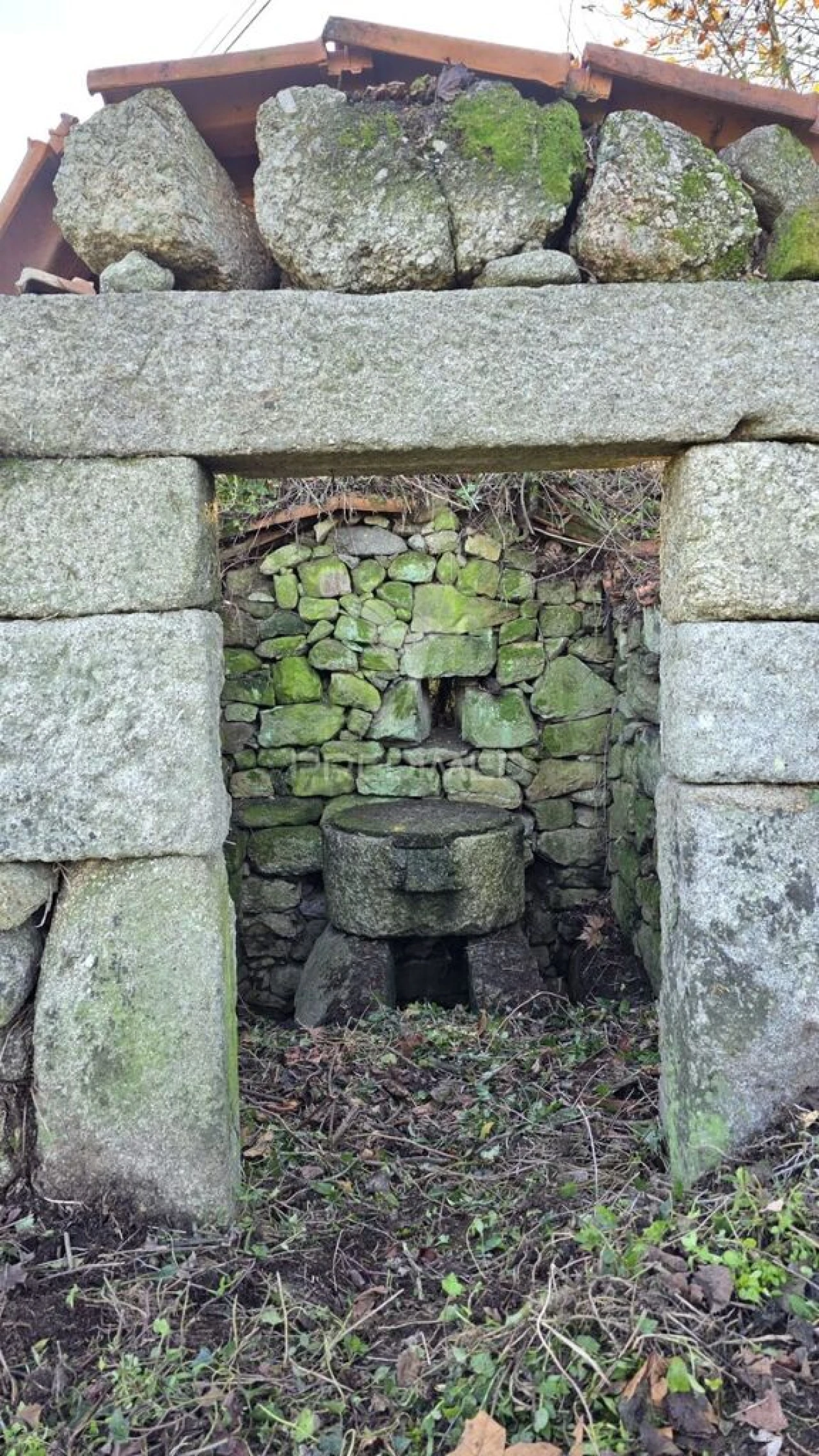 Quinta T5 para Venda em Leitões, Oleiros e Figueiredo Foto 18