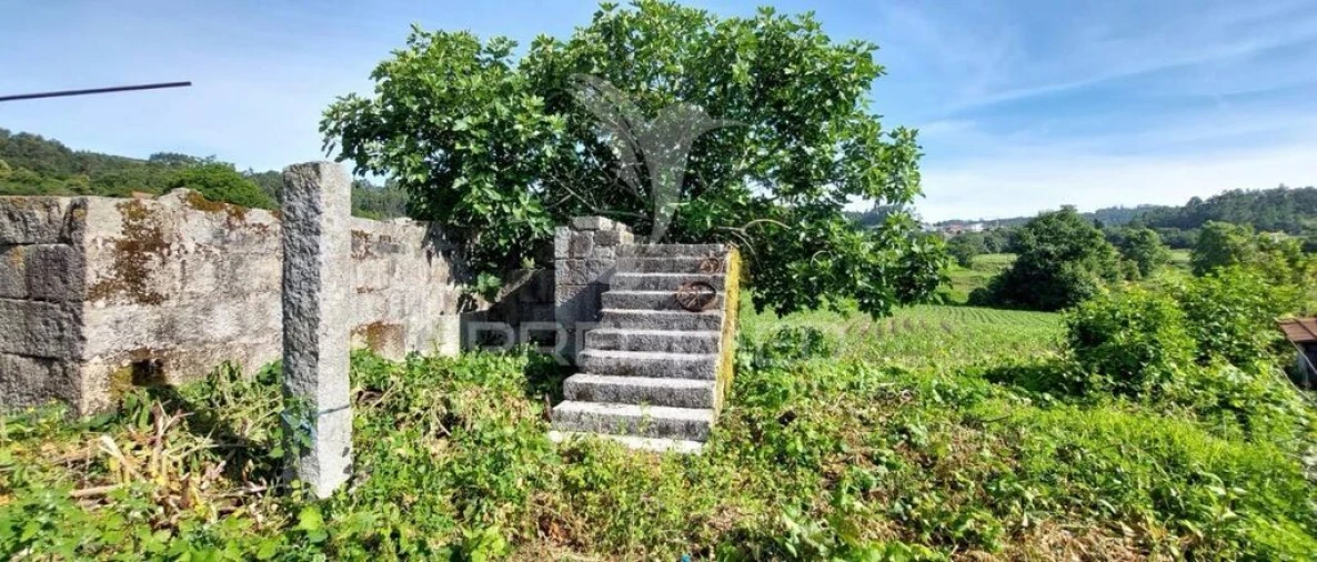 Quinta T5 para Venda em Leitões, Oleiros e Figueiredo Foto 17