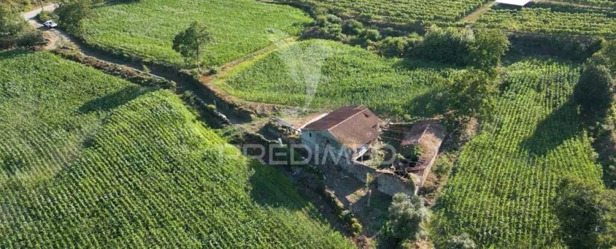 Quinta T5 para Venda em Leitões, Oleiros e Figueiredo Foto 16