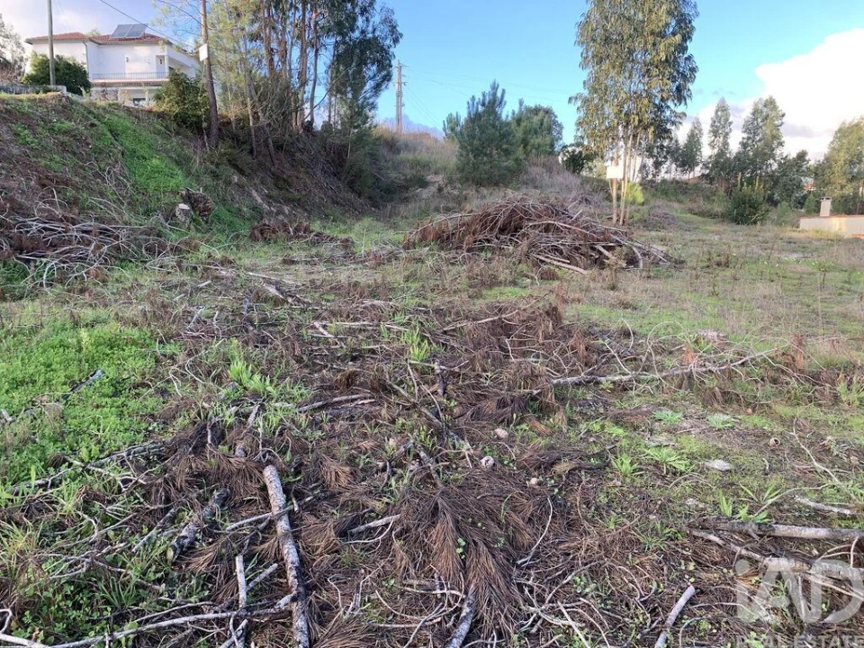 Terreno para Venda em Ansião Foto 16