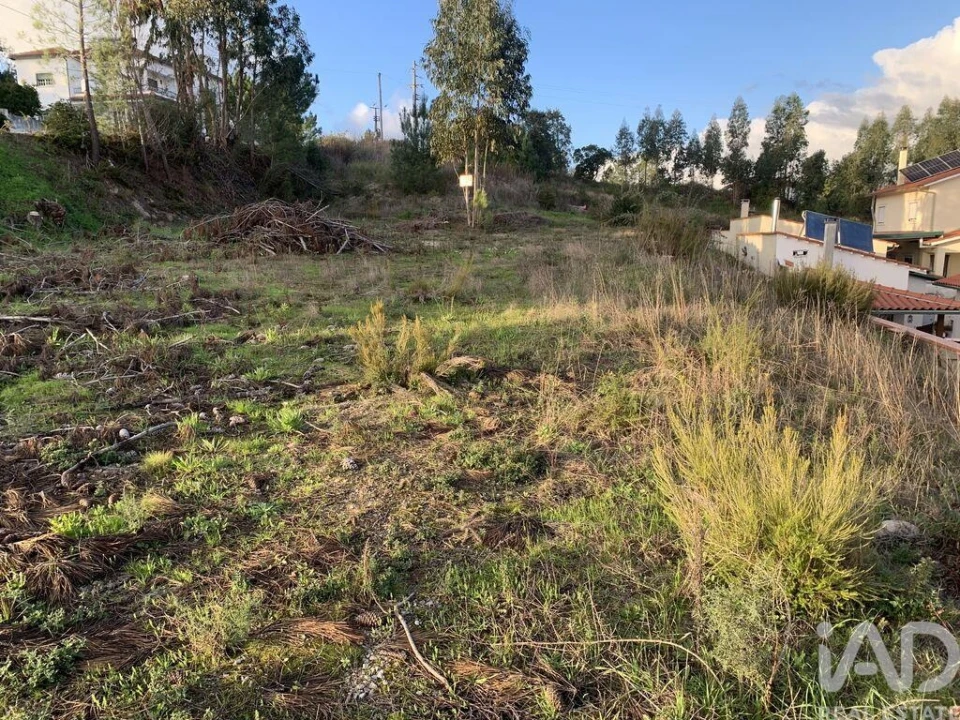Terreno para Venda em Ansião Foto 15