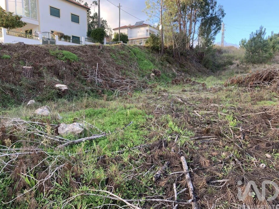 Terreno para Venda em Ansião Foto 18