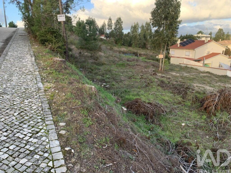 Terreno para Venda em Ansião Foto 5