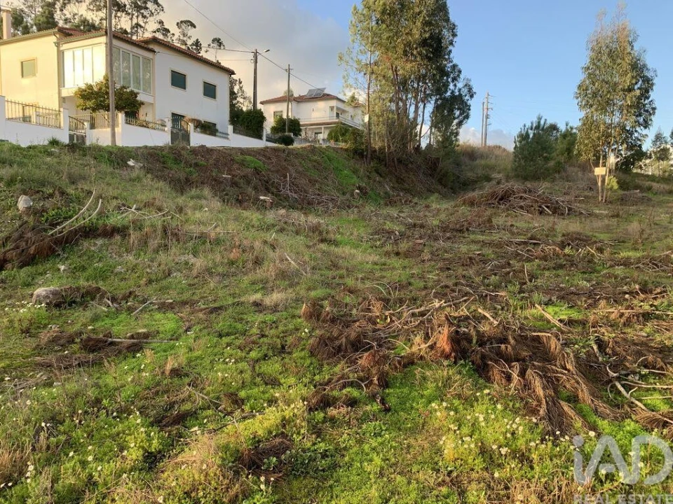 Terreno para Venda em Ansião Foto 12