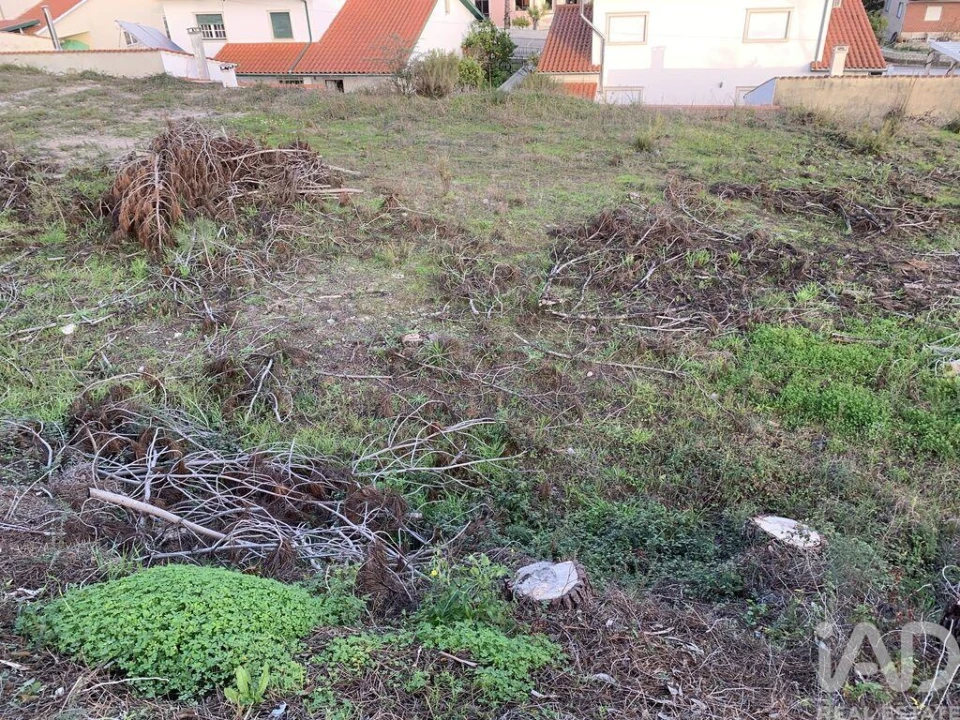 Terreno para Venda em Ansião Foto 22