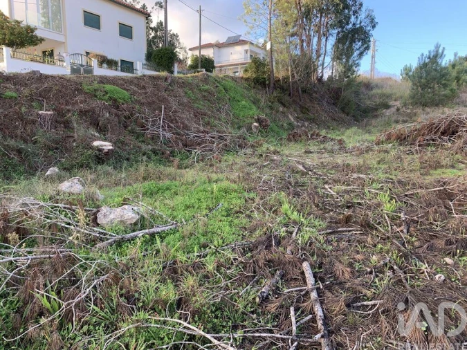 Terreno para Venda em Ansião Foto 18