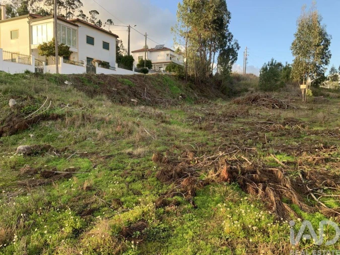 Terreno para Venda em Ansião Foto 12