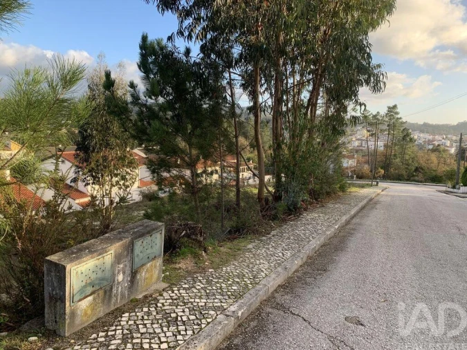 Terreno para Venda em Ansião