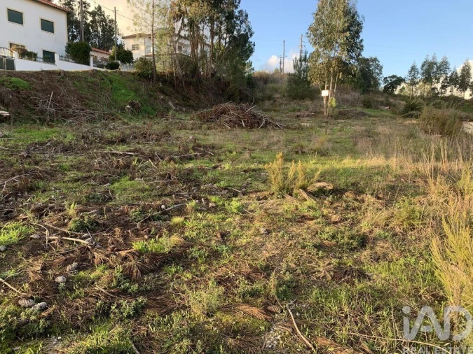 Terreno para Venda em Ansião Foto 3