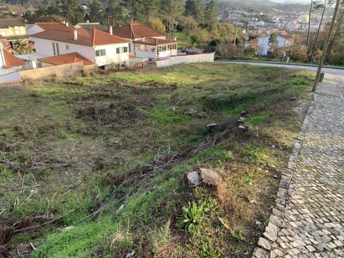 Terreno para Venda em Ansião Foto 6