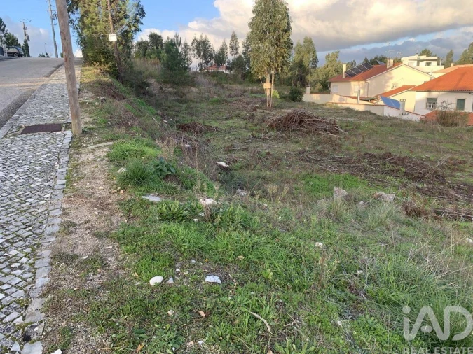 Terreno para Venda em Ansião Foto 4