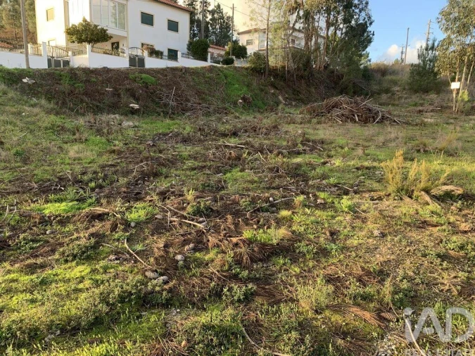 Terreno para Venda em Ansião Foto 17