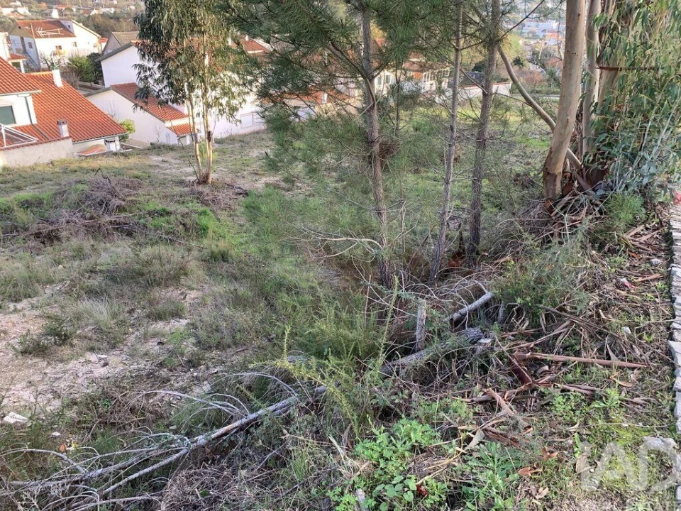 Terreno para Venda em Ansião Foto 11