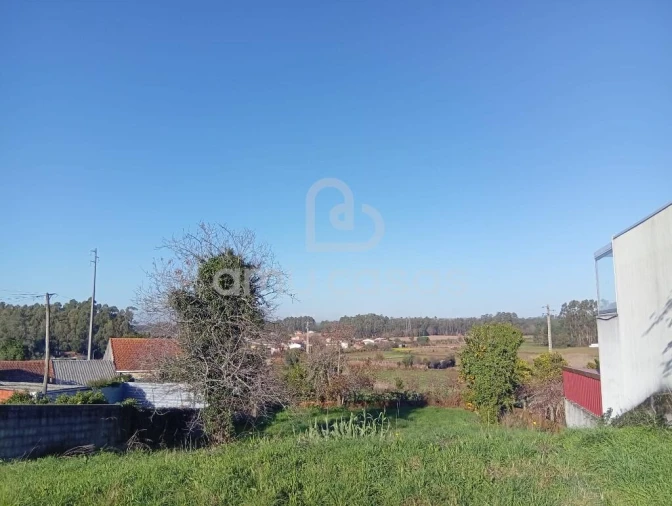 Terreno para Venda em Beduído e Veiros Foto 6