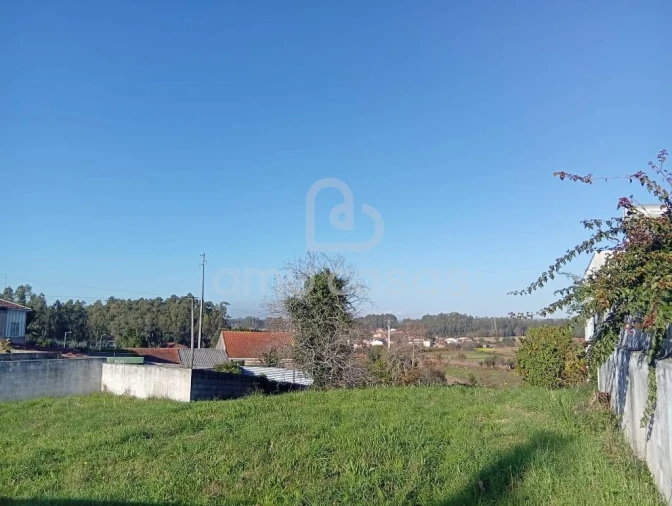 Terreno para Venda em Beduído e Veiros Foto 10