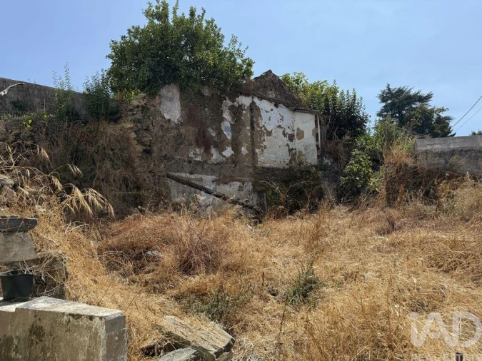 Terreno para Venda em Peso da Régua e Godim Foto 4