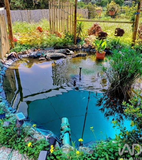 Terreno para Venda em Budens
