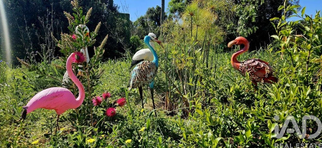 Terreno para Venda em Budens Foto 6