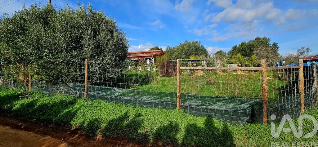 Terreno para Venda em Budens Foto 16