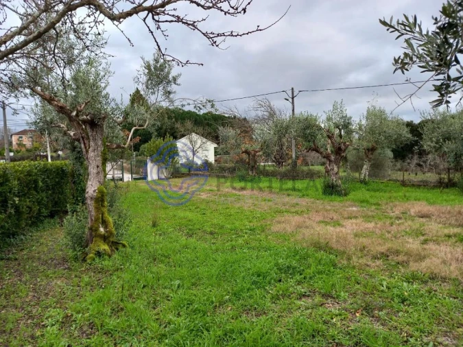 Moradia T2 para Venda em Ferreira do Zezere Foto 21