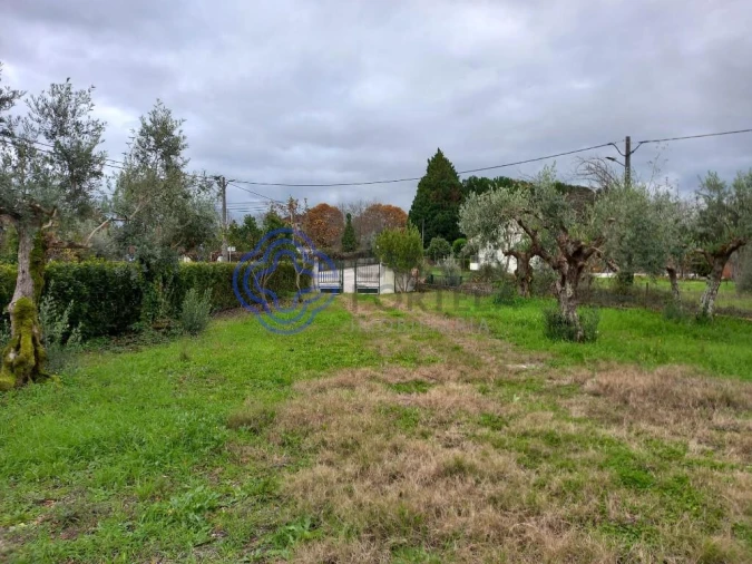 Moradia T2 para Venda em Ferreira do Zezere Foto 22