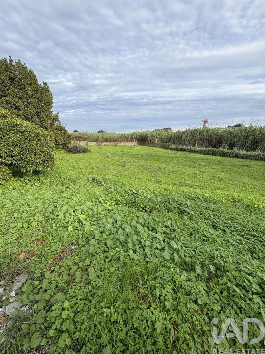 Terreno para Venda em Montijo e Afonsoeiro