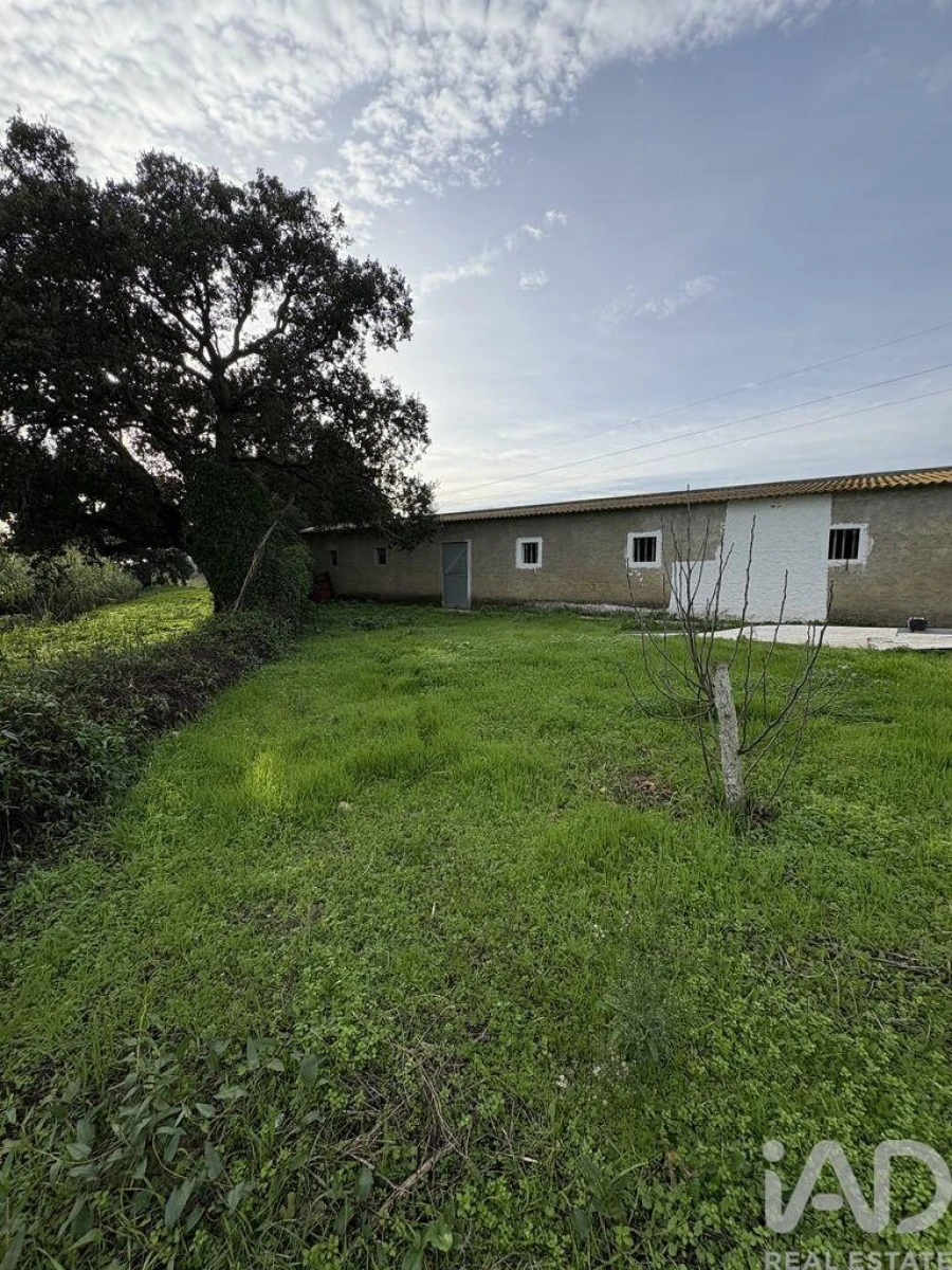 Terreno para Venda em Montijo e Afonsoeiro Foto 4