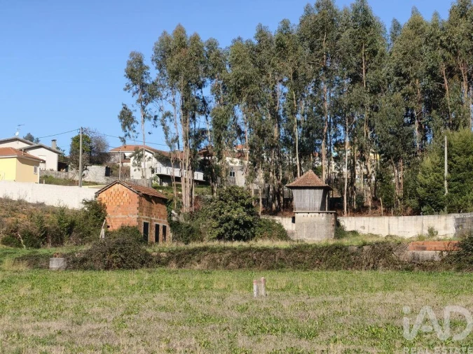 Terreno para Venda em Canedo, Vale e Vila Maior Foto 5