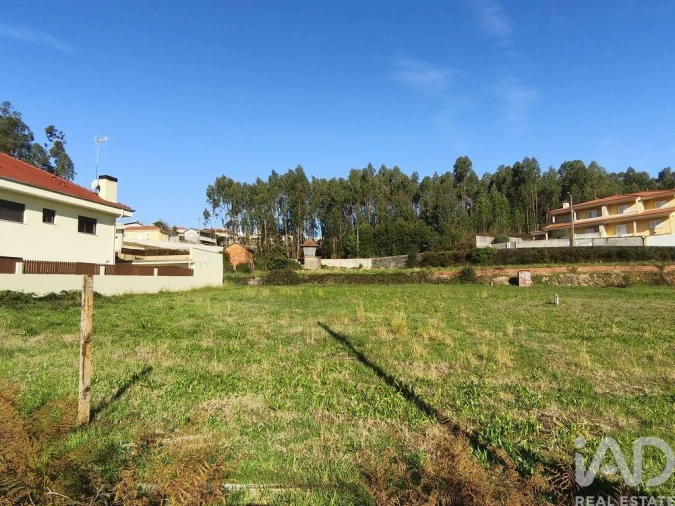 Terreno para Venda em Canedo, Vale e Vila Maior Foto 3