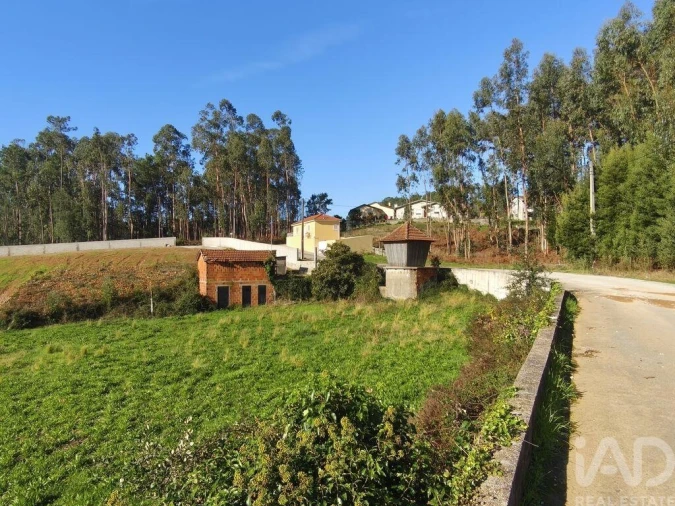 Terreno para Venda em Canedo, Vale e Vila Maior Foto 7
