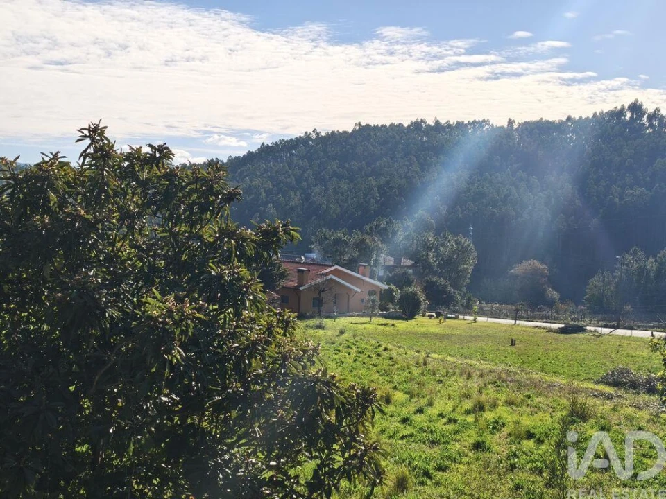Terreno para Venda em Canedo, Vale e Vila Maior Foto 12