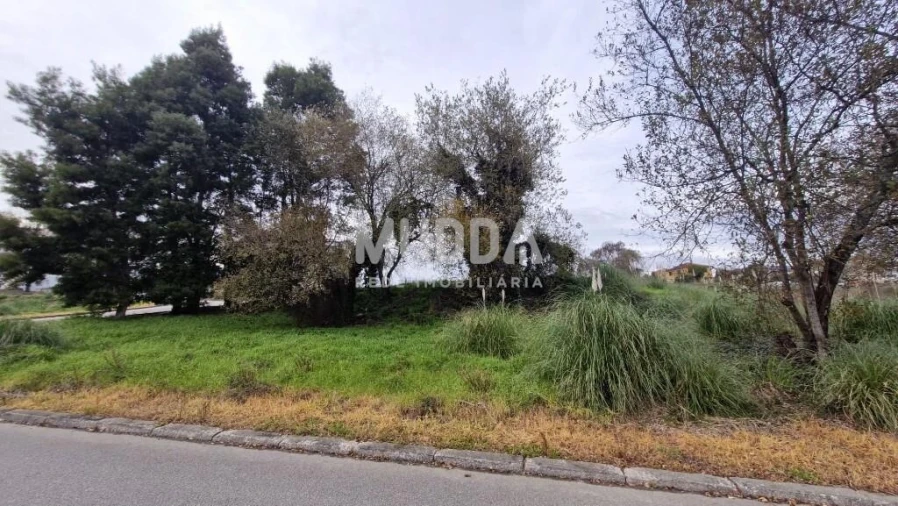 Terreno para Venda em São João da Madeira Foto 9