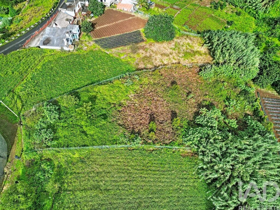Terreno para Venda em Santana Foto 4