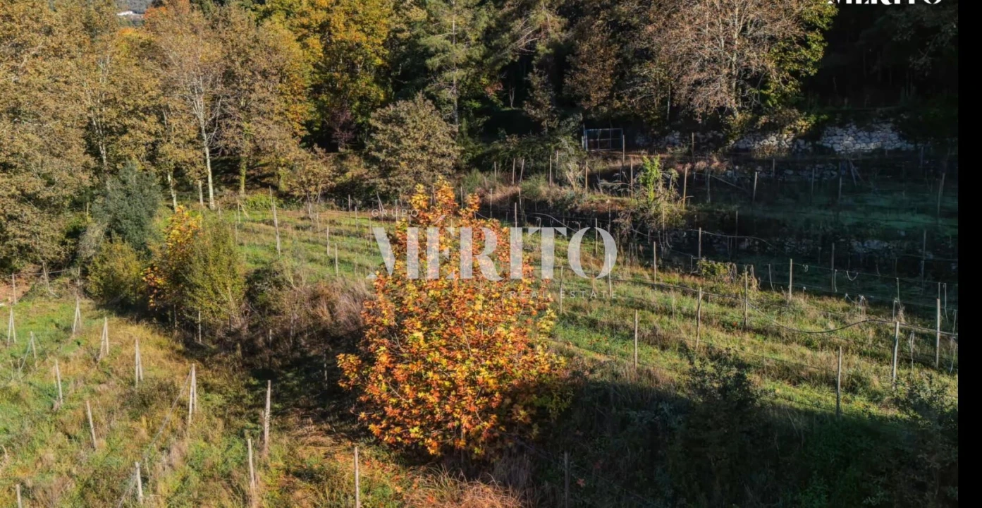 Terreno para Venda em Goães Foto 1