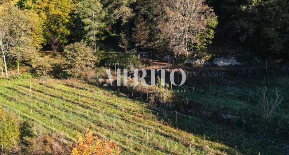 Terreno para Venda em Goães Foto 5