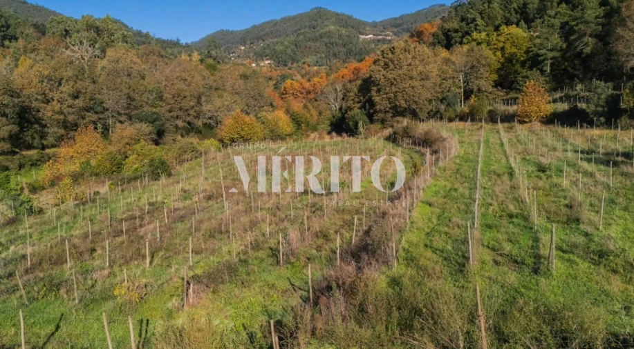 Terreno para Venda em Goães Foto 4