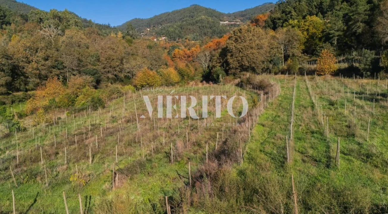 Terreno para Venda em Goães Foto 4