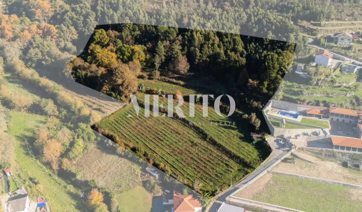 Terreno para Venda em Goães Foto 3