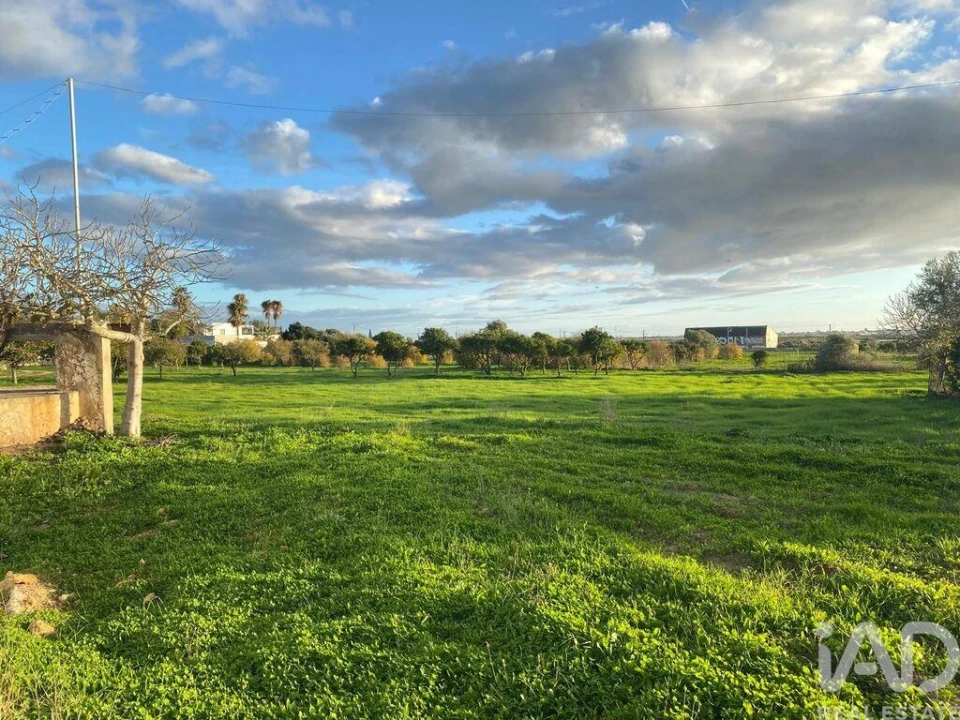 Terreno para Venda em Quelfes Foto 28