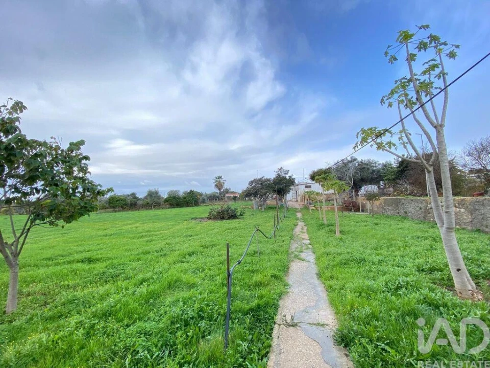 Terreno para Venda em Quelfes Foto 14