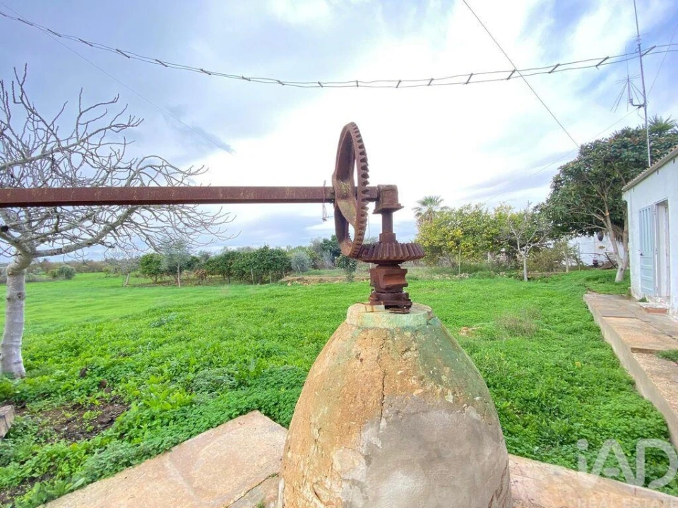 Terreno para Venda em Quelfes Foto 19