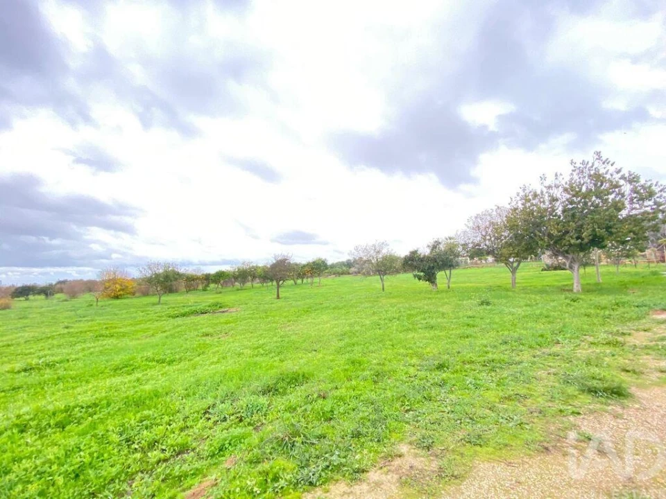 Terreno para Venda em Quelfes Foto 2