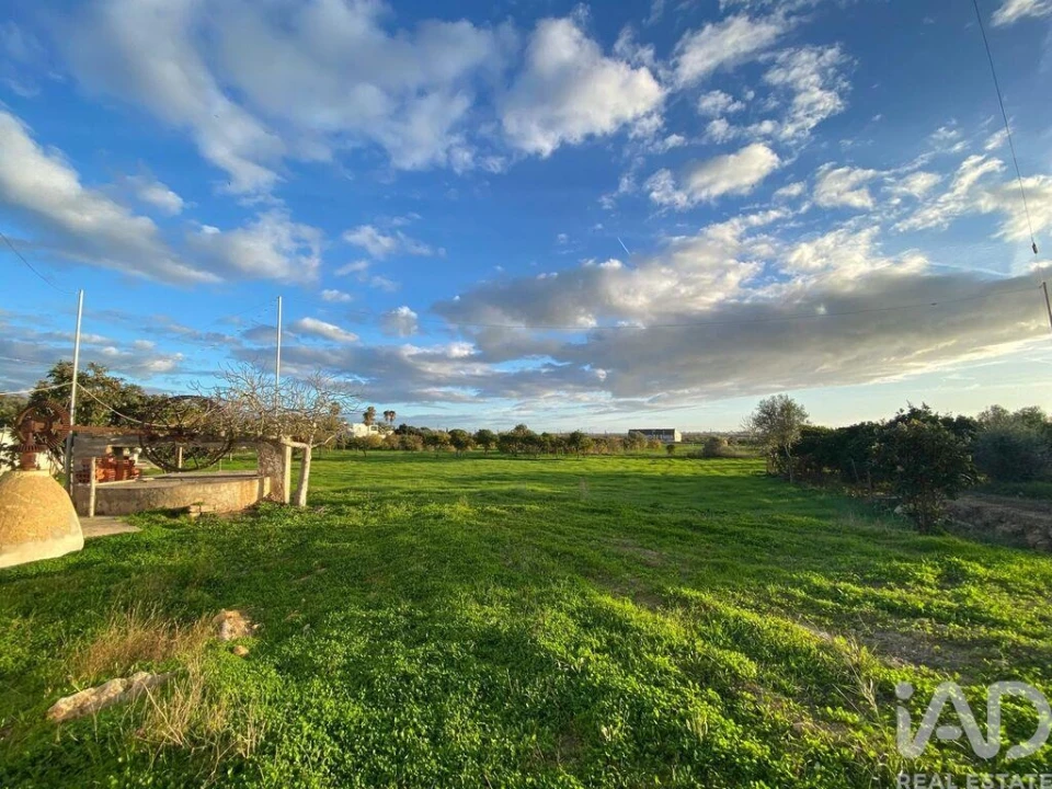 Terreno para Venda em Quelfes Foto 24