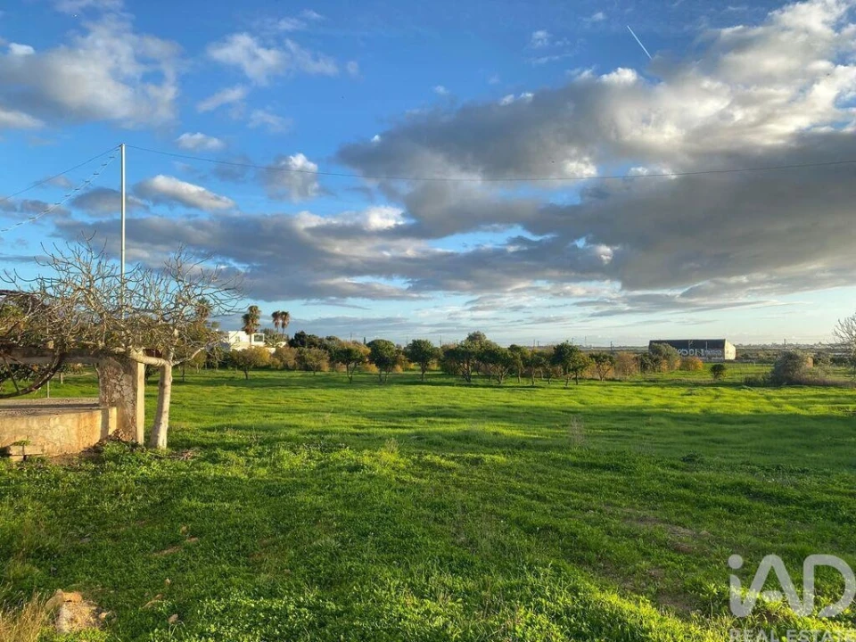 Terreno para Venda em Quelfes Foto 25
