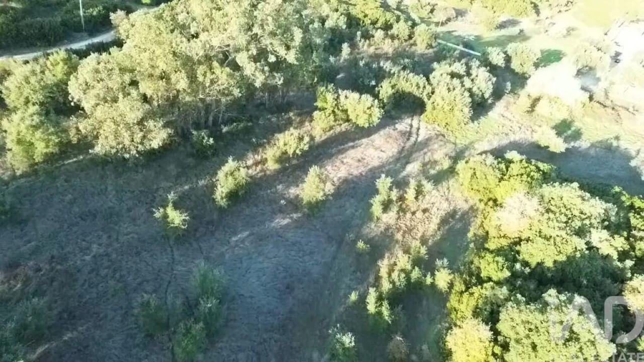 Terreno para Venda em Almoster Foto 29