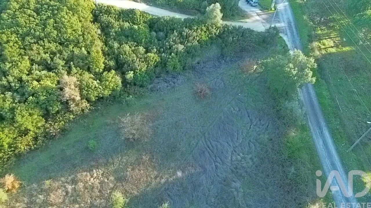 Terreno para Venda em Almoster Foto 20