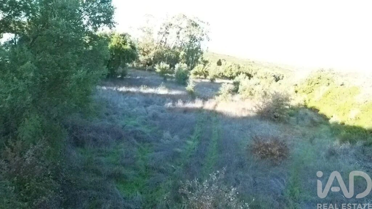 Terreno para Venda em Almoster Foto 12