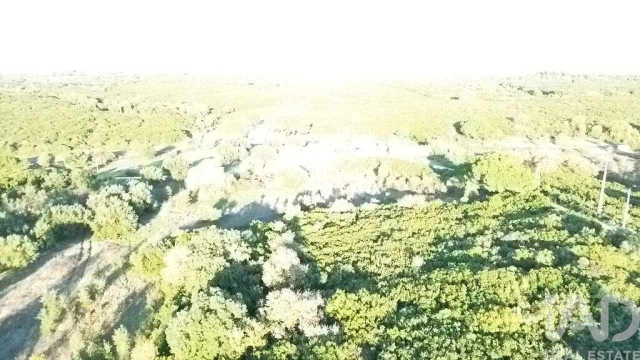 Terreno para Venda em Almoster Foto 13