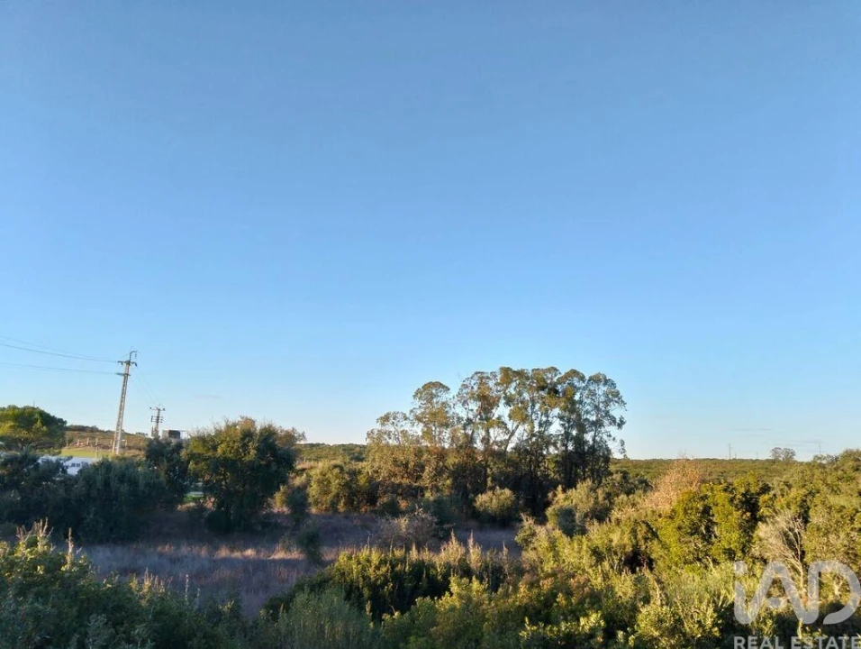 Terreno para Venda em Almoster Foto 7